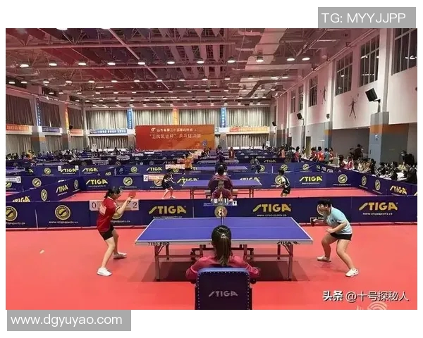 广州乒乓球队挑战赛背后的奋斗故事与辉煌成就探秘