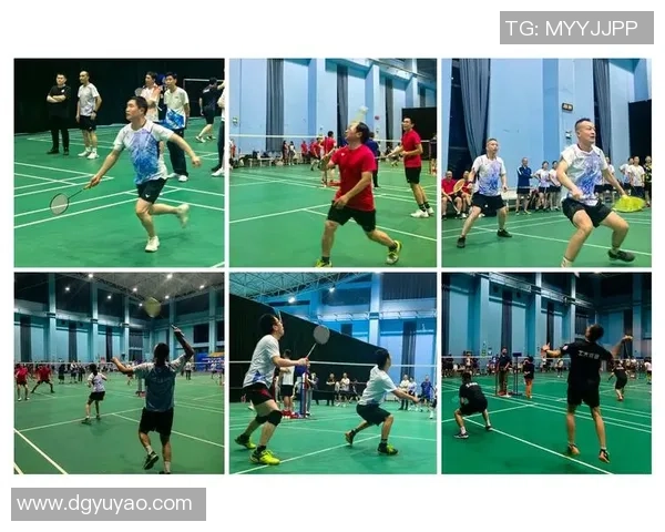 羽毛球盛宴：深入了解杭州羽毛球队的训练与比赛节奏